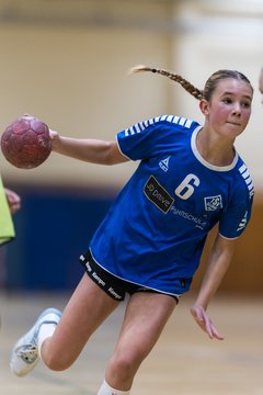 Bild 279 - wBJ TSV Ellerau - HSG Stoertal Hummeln : Ergebnis: 26:19